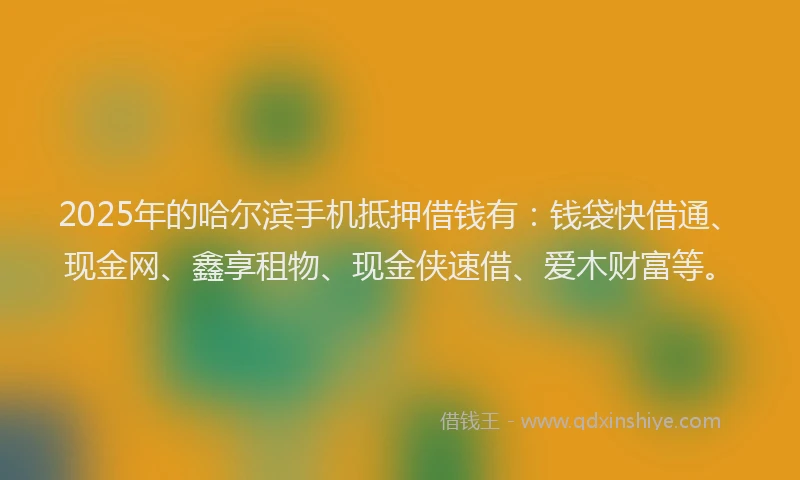 2025年的哈尔滨手机抵押借钱有：钱袋快借通、现金网、鑫享租物、现金侠速借、爱木财富等。