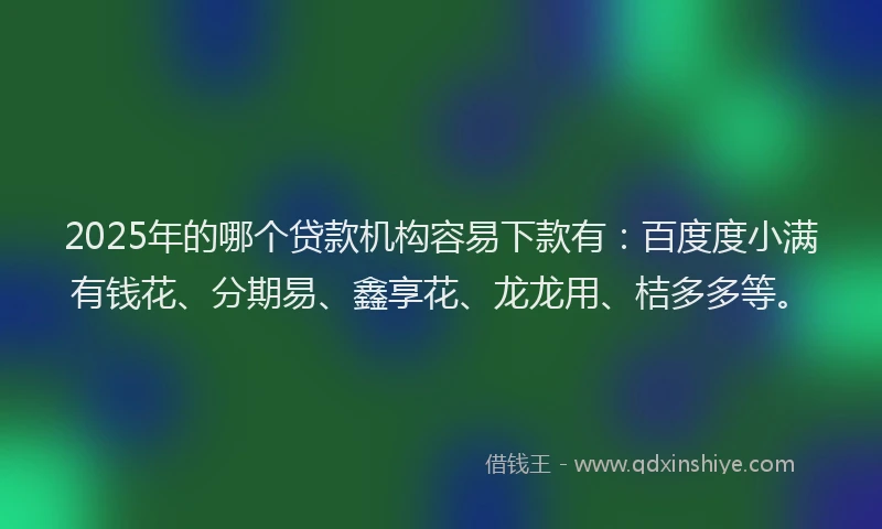 2025年的哪个贷款机构容易下款有：百度度小满有钱花、分期易、鑫享花、龙龙用、桔多多等。