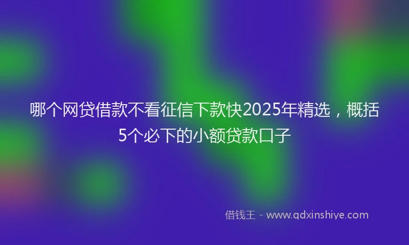 哪个网贷借款不看征信下款快2025年精选，概括5个必下的小额贷款口子