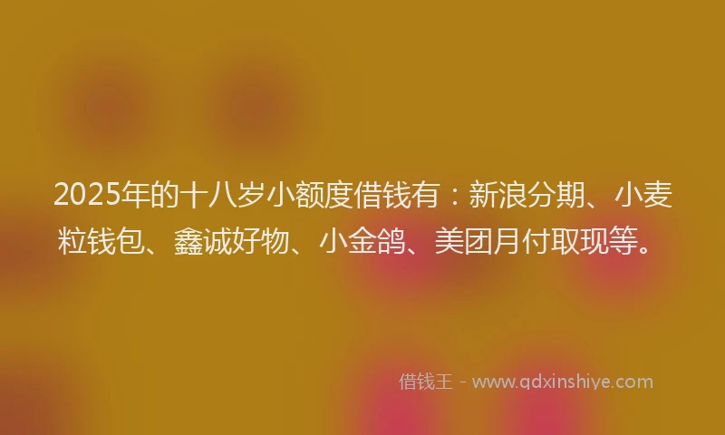 2025年的十八岁小额度借钱有：新浪分期、小麦粒钱包、鑫诚好物、小金鸽、美团月付取现等。