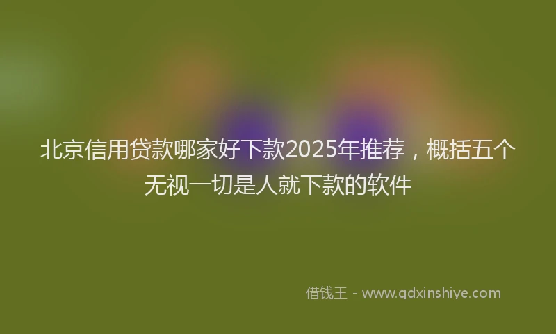 北京信用贷款哪家好下款2025年推荐，概括五个无视一切是人就下款的软件