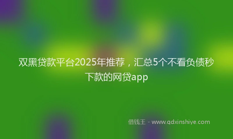 双黑贷款平台2025年推荐，汇总5个不看负债秒下款的网贷app