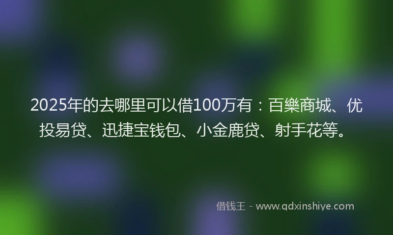 2025年的去哪里可以借100万有：百樂商城、优投易贷、迅捷宝钱包、小金鹿贷、射手花等。