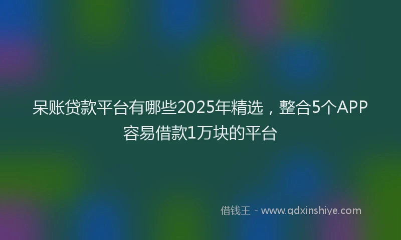 呆账贷款平台有哪些2025年精选，整合5个APP容易借款1万块的平台