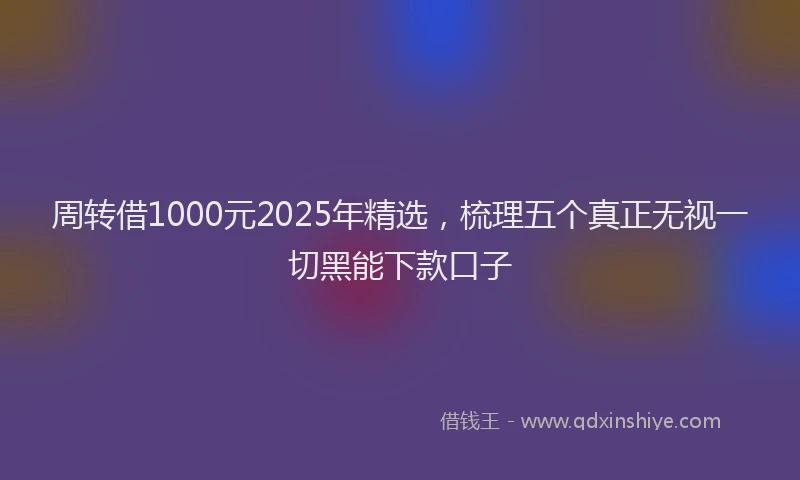 周转借1000元2025年精选，梳理五个真正无视一切黑能下款口子