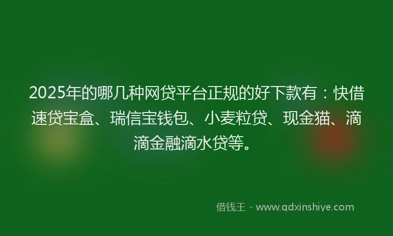 2025年的哪几种网贷平台正规的好下款有：快借速贷宝盒、瑞信宝钱包、小麦粒贷、现金猫、滴滴金融滴水贷等。
