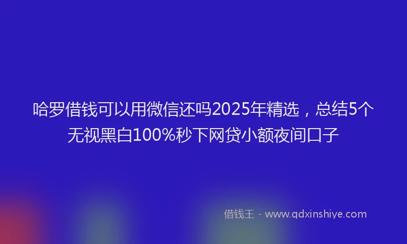 哈罗借钱可以用微信还吗2025年精选，总结5个无视黑白100%秒下网贷小额夜间口子