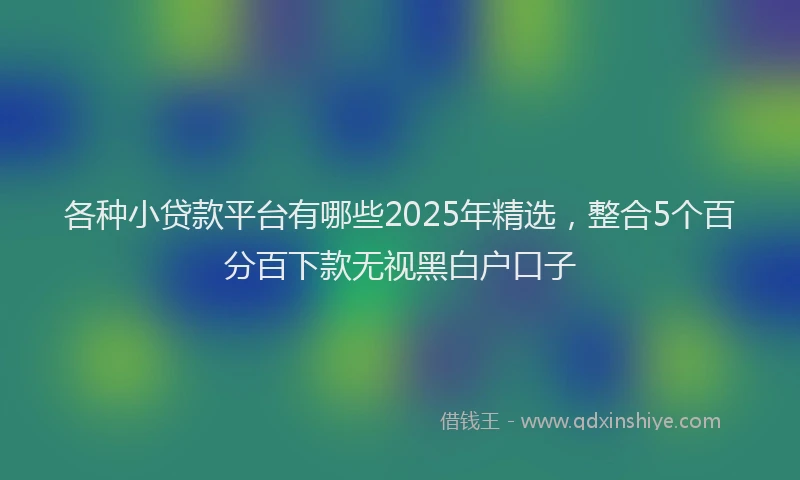 各种小贷款平台有哪些2025年精选，整合5个百分百下款无视黑白户口子