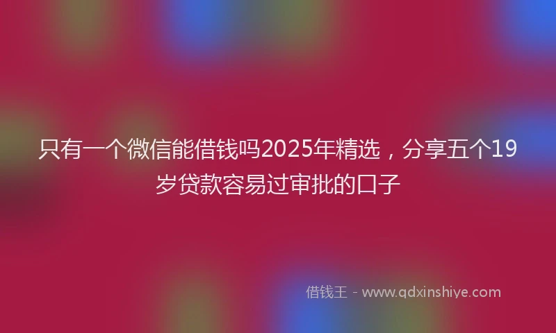 只有一个微信能借钱吗2025年精选，分享五个19岁贷款容易过审批的口子