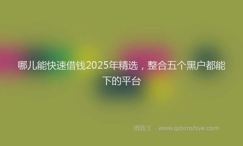 哪儿能快速借钱2025年精选，整合五个黑户都能下的平台