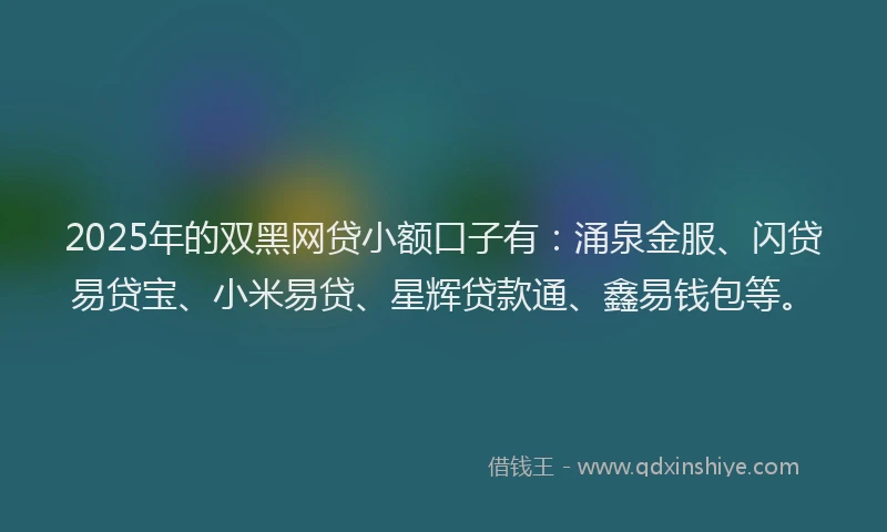 2025年的双黑网贷小额口子有：涌泉金服、闪贷易贷宝、小米易贷、星辉贷款通、鑫易钱包等。