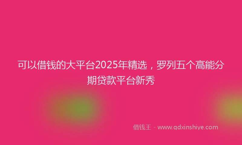 可以借钱的大平台2025年精选，罗列五个高能分期贷款平台新秀