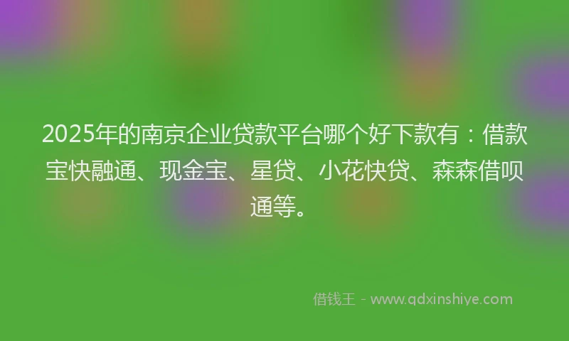 2025年的南京企业贷款平台哪个好下款有：借款宝快融通、现金宝、星贷、小花快贷、森森借呗通等。