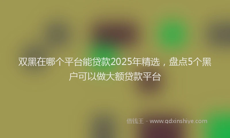 双黑在哪个平台能贷款2025年精选，盘点5个黑户可以做大额贷款平台