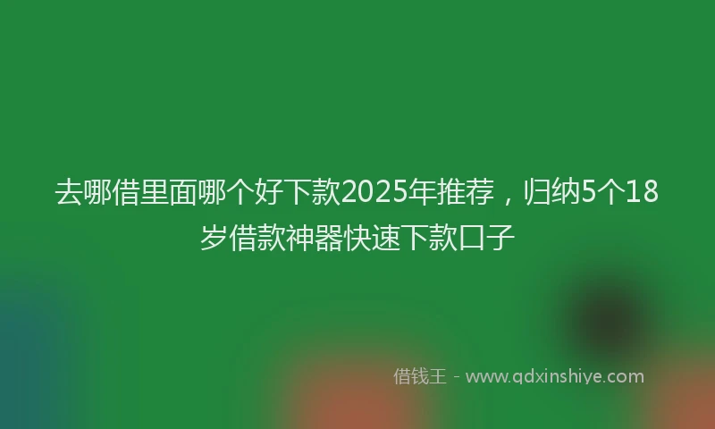 去哪借里面哪个好下款2025年推荐，归纳5个18岁借款神器快速下款口子