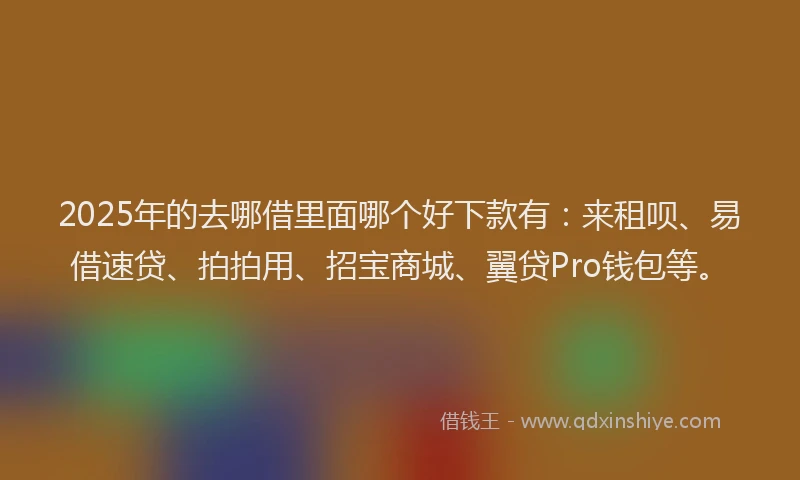 2025年的去哪借里面哪个好下款有：来租呗、易借速贷、拍拍用、招宝商城、翼贷Pro钱包等。