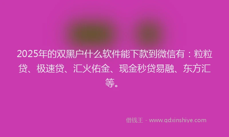 2025年的双黑户什么软件能下款到微信有：粒粒贷、极速贷、汇火佑金、现金秒贷易融、东方汇等。