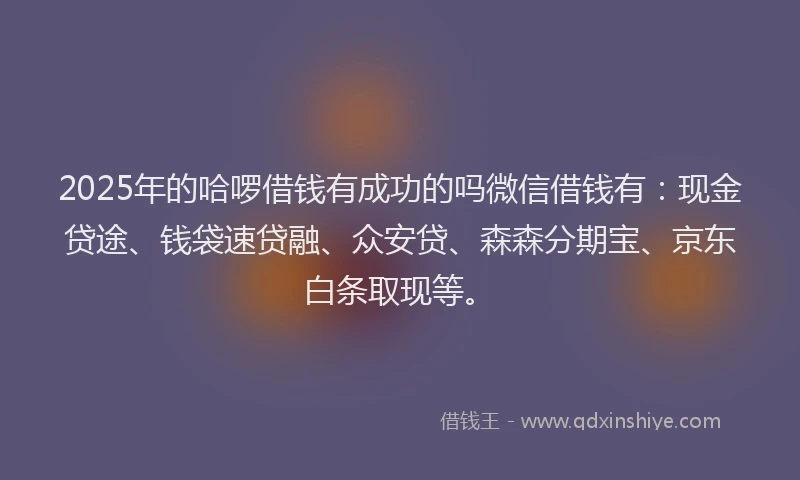 2025年的哈啰借钱有成功的吗微信借钱有：现金贷途、钱袋速贷融、众安贷、森森分期宝、京东白条取现等。