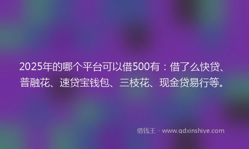 2025年的哪个平台可以借500有：借了么快贷、普融花、速贷宝钱包、三枝花、现金贷易行等。
