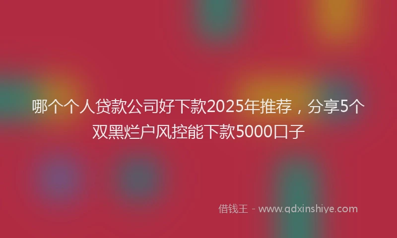 哪个个人贷款公司好下款2025年推荐，分享5个双黑烂户风控能下款5000口子