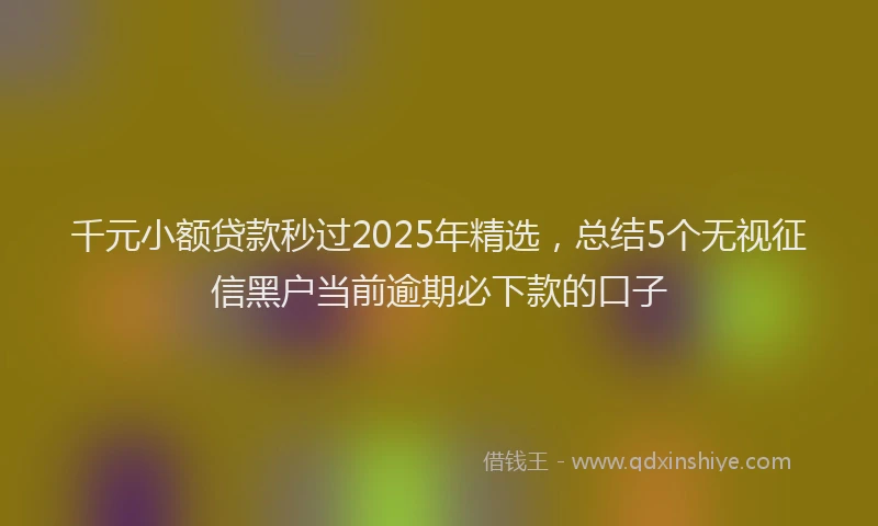 千元小额贷款秒过2025年精选，总结5个无视征信黑户当前逾期必下款的口子