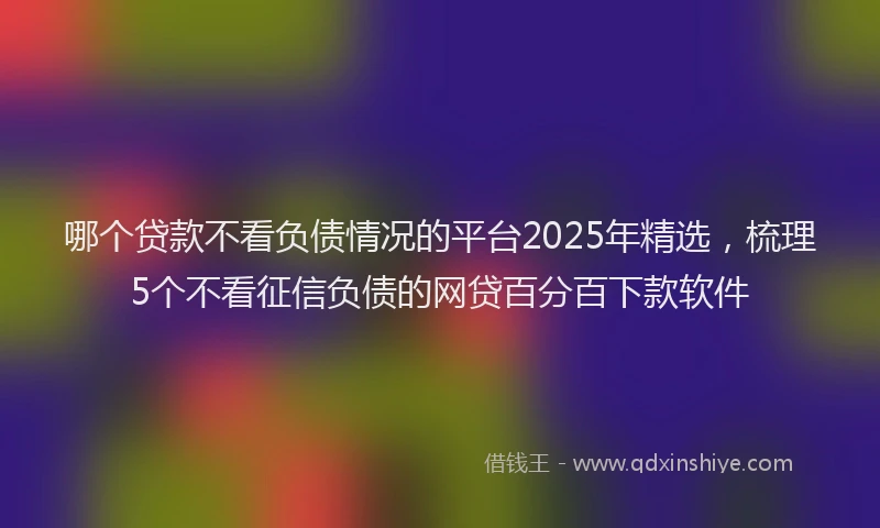 哪个贷款不看负债情况的平台2025年精选，梳理5个不看征信负债的网贷百分百下款软件