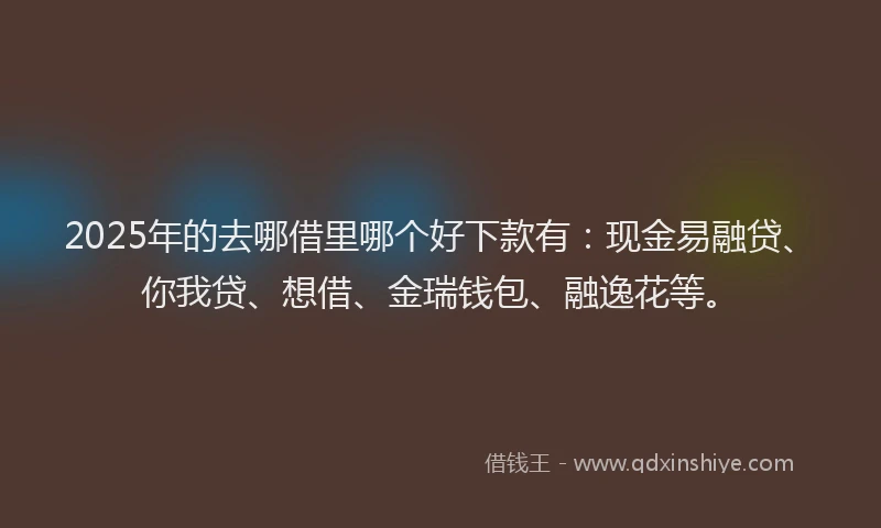 2025年的去哪借里哪个好下款有：现金易融贷、你我贷、想借、金瑞钱包、融逸花等。