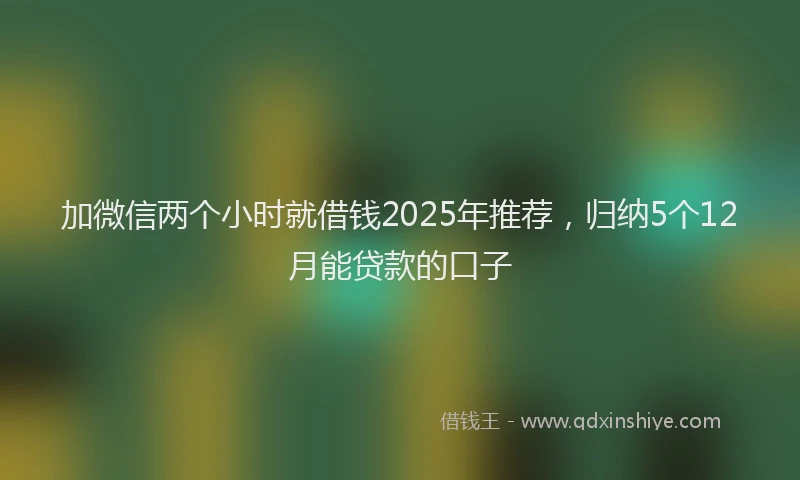 加微信两个小时就借钱2025年推荐，归纳5个12月能贷款的口子