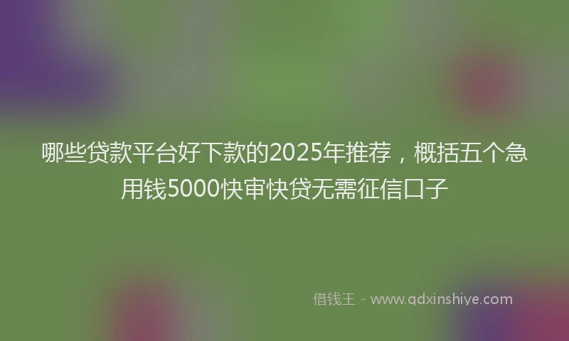 哪些贷款平台好下款的2025年推荐，概括五个急用钱5000快审快贷无需征信口子