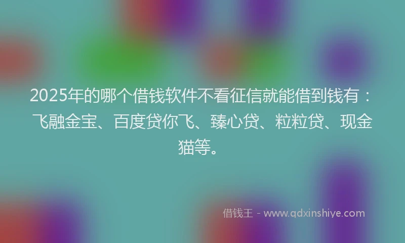 2025年的哪个借钱软件不看征信就能借到钱有：飞融金宝、百度贷你飞、臻心贷、粒粒贷、现金猫等。