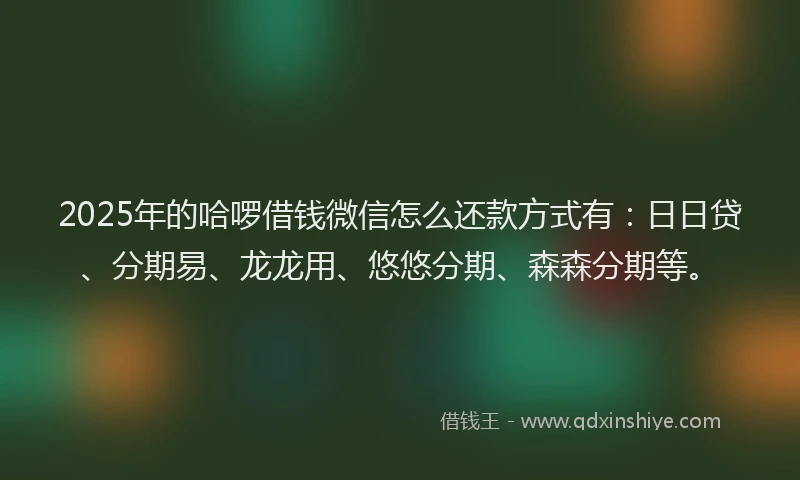 2025年的哈啰借钱微信怎么还款方式有：日日贷、分期易、龙龙用、悠悠分期、森森分期等。