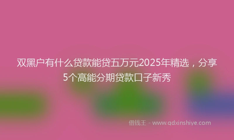 双黑户有什么贷款能贷五万元2025年精选，分享5个高能分期贷款口子新秀