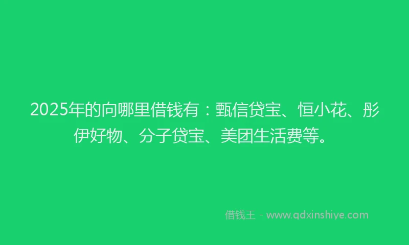 2025年的向哪里借钱有：甄信贷宝、恒小花、彤伊好物、分子贷宝、美团生活费等。