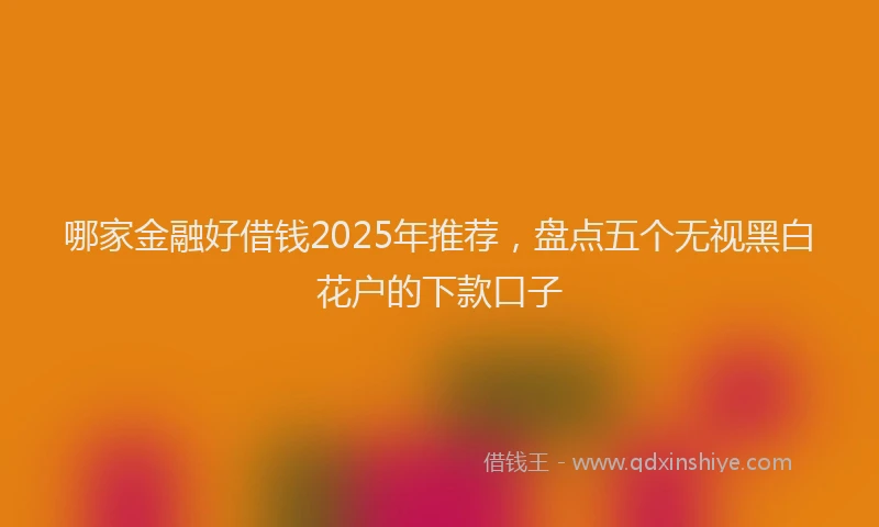 哪家金融好借钱2025年推荐，盘点五个无视黑白花户的下款口子