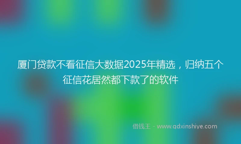 厦门贷款不看征信大数据2025年精选，归纳五个征信花居然都下款了的软件