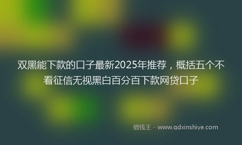双黑能下款的口子最新2025年推荐，概括五个不看征信无视黑白百分百下款网贷口子