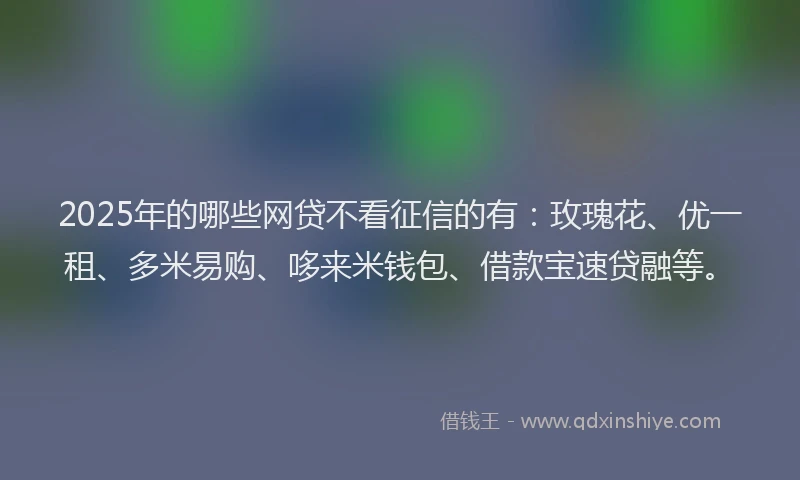 2025年的哪些网贷不看征信的有：玫瑰花、优一租、多米易购、哆来米钱包、借款宝速贷融等。