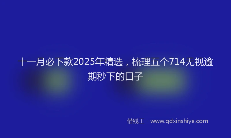 十一月必下款2025年精选，梳理五个714无视逾期秒下的口子