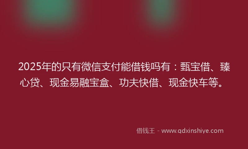 2025年的只有微信支付能借钱吗有：甄宝借、臻心贷、现金易融宝盒、功夫快借、现金快车等。