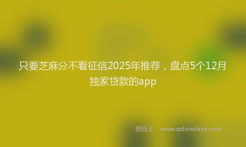 只要芝麻分不看征信2025年推荐，盘点5个12月独家贷款的app