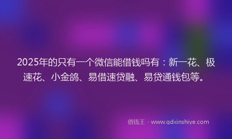 2025年的只有一个微信能借钱吗有：新一花、极速花、小金鸽、易借速贷融、易贷通钱包等。