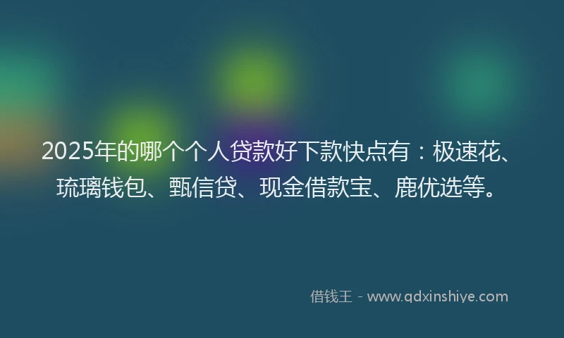 2025年的哪个个人贷款好下款快点有：极速花、琉璃钱包、甄信贷、现金借款宝、鹿优选等。