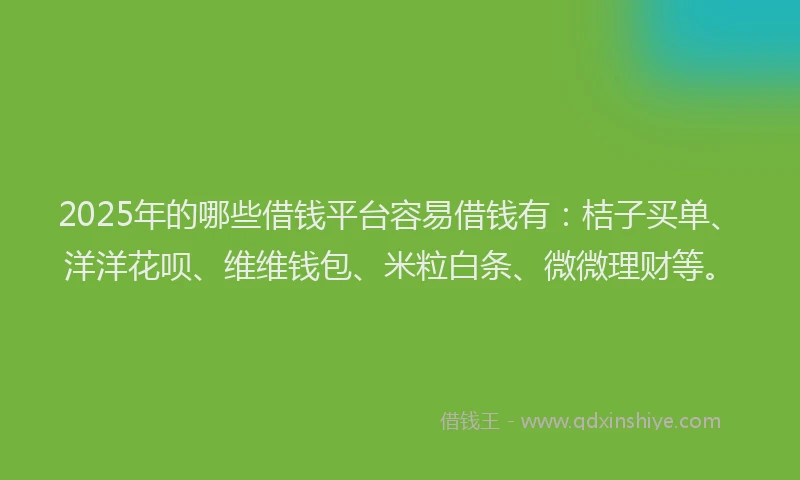 2025年的哪些借钱平台容易借钱有：桔子买单、洋洋花呗、维维钱包、米粒白条、微微理财等。