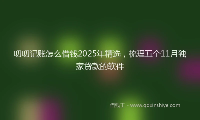 叨叨记账怎么借钱2025年精选，梳理五个11月独家贷款的软件