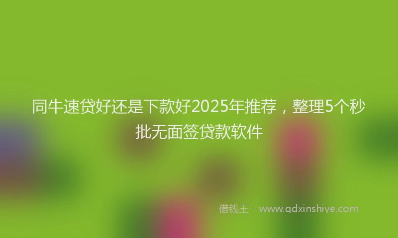 同牛速贷好还是下款好2025年推荐，整理5个秒批无面签贷款软件