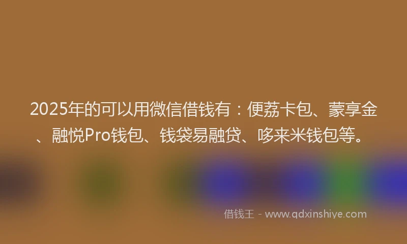 2025年的可以用微信借钱有：便荔卡包、蒙享金、融悦Pro钱包、钱袋易融贷、哆来米钱包等。