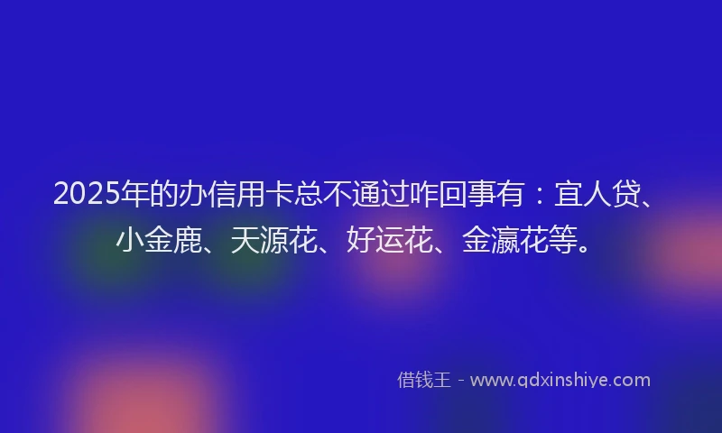 2025年的办信用卡总不通过咋回事有：宜人贷、小金鹿、天源花、好运花、金瀛花等。