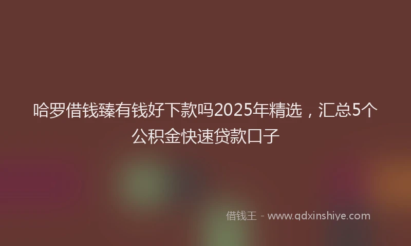 哈罗借钱臻有钱好下款吗2025年精选，汇总5个公积金快速贷款口子