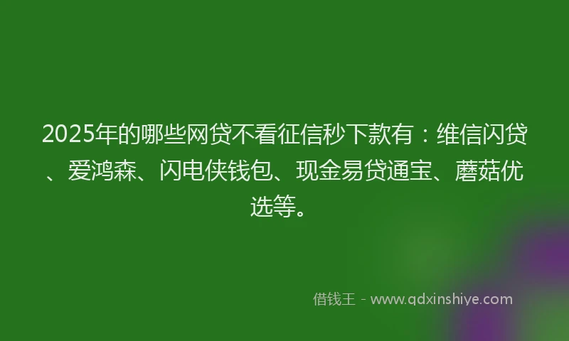 2025年的哪些网贷不看征信秒下款有：维信闪贷、爱鸿森、闪电侠钱包、现金易贷通宝、蘑菇优选等。
