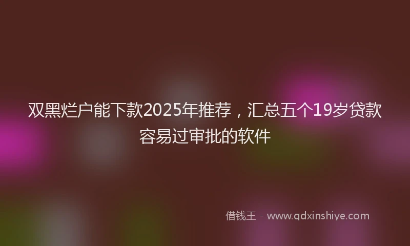 双黑烂户能下款2025年推荐，汇总五个19岁贷款容易过审批的软件